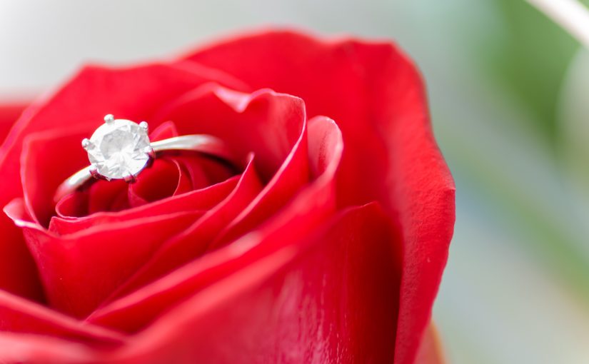 engagement ring in a rose