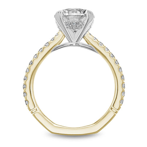 Noam Carver Hidden Halo Engagement Ring - Image 6